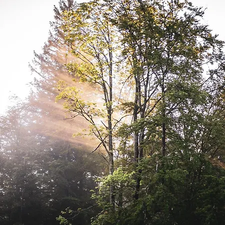 Hoehenhotel Rote Lache Forbach