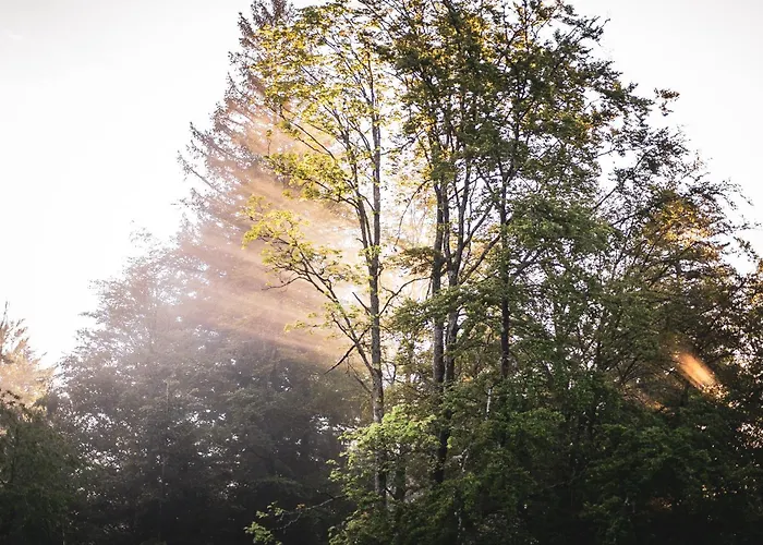 Hoehenhotel Rote Lache Forbach